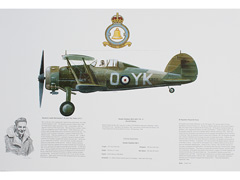 Gloster Gladiator 80 Squadron RAF Print Image 2