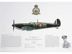 Supermarine Spitfire Mk1a 603 Squadron RAF Print Image 2