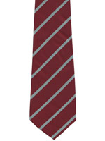 Duke of Wellingtons Regiment blue striped tie
