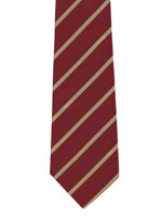 Duke of Wellingtons Regiment gold striped tie