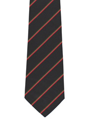 Royal Regiment of Wales Striped Tie