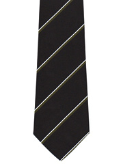 South Wales Borderers Striped Tie Image 2