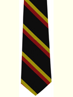 Royal Norfolk Regiment striped tie