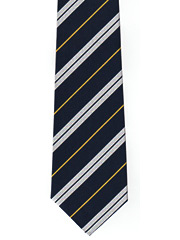 RASC striped tie Image 2