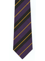 London School of Economics striped tie