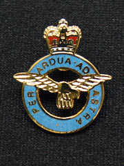 RAF cutout lapel badge