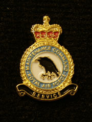 RAF Maintenance Command Lapel Badge