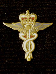 RAF medical corps lapel badge
