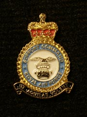 RAF Support Command Lapel Badge
