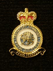 RAF Transport Command Lapel Badge