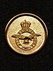 Royal Air Force gold coloured lapel badge