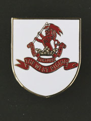 West Riding Regiment lapel badge