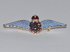 RAF Wings enamel badge