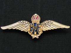 RAF wings (gilt) lapel badge