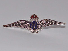 RAF Wings shiny silver badge