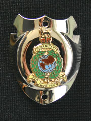 Royal Marines Walking Stick Badge