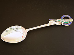 Budgerigar Society Enamelled Silver Spoon