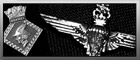 Cap Badges and Lapel Badges Homepage
