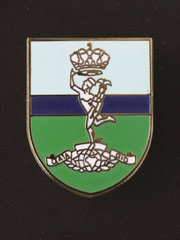 Royal Signals lapel badge