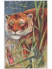 Fletchers Indian Sauce Advertising Postcard